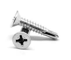 Self Tapping Screw