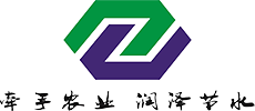 logo.1