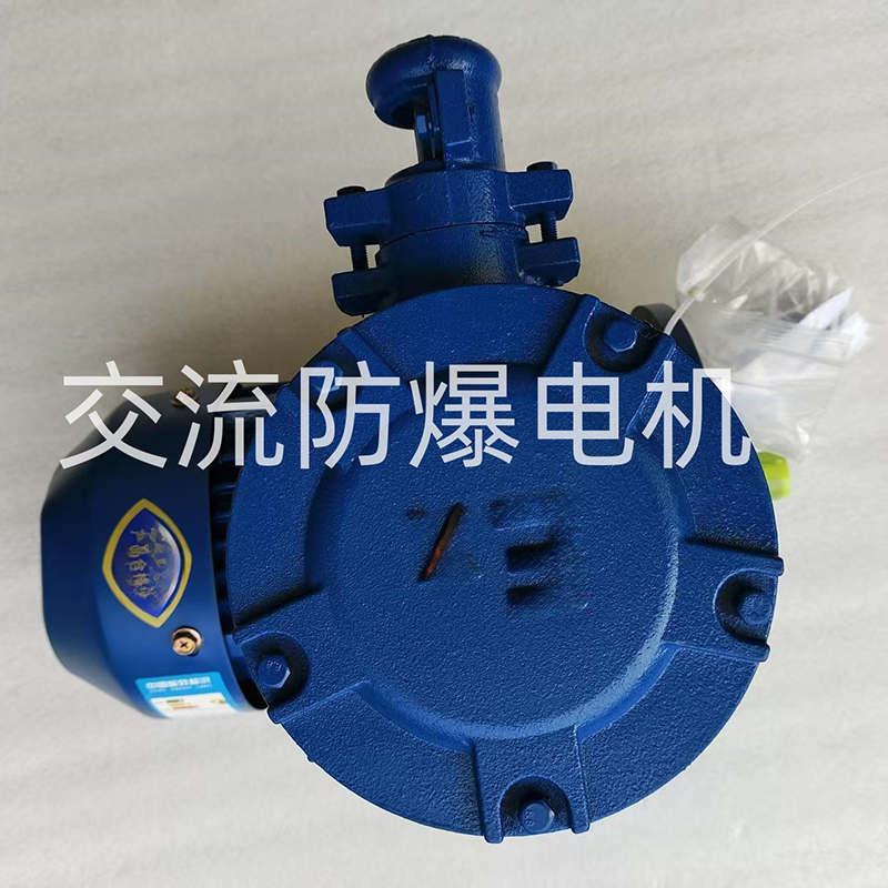 Взрывозащищенный двигатель переменного тока