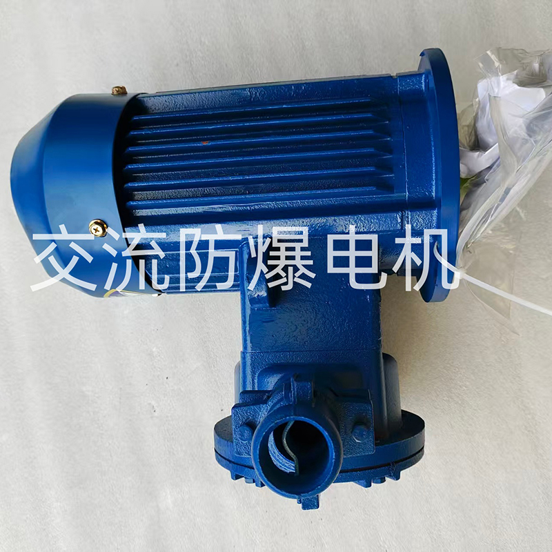 Взрывозащищенный двигатель переменного тока