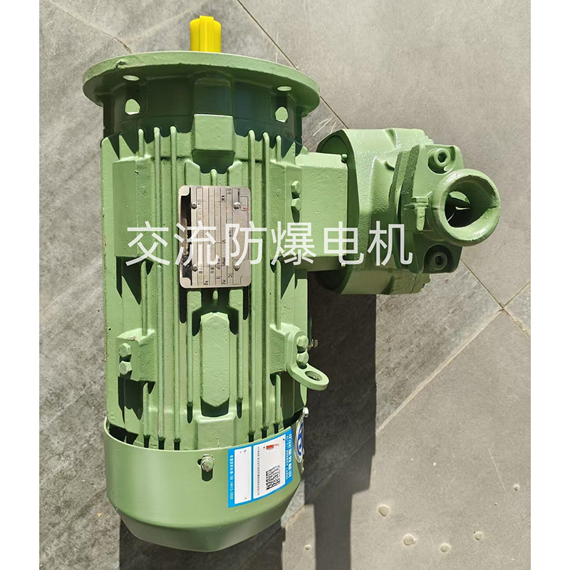 Взрывозащищенный двигатель переменного тока