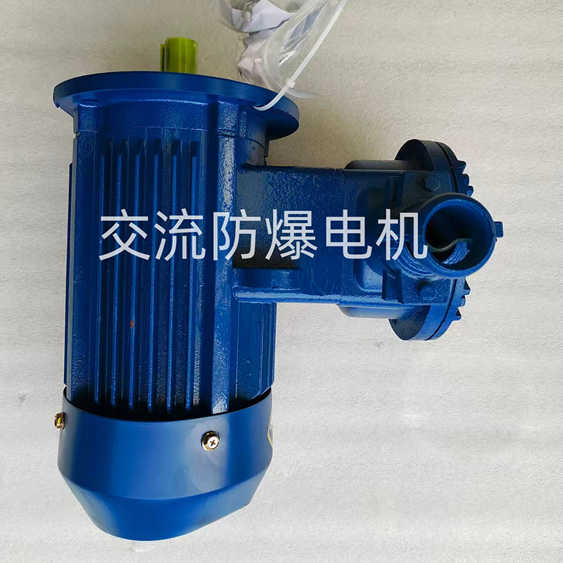 Взрывозащищенный двигатель переменного тока
