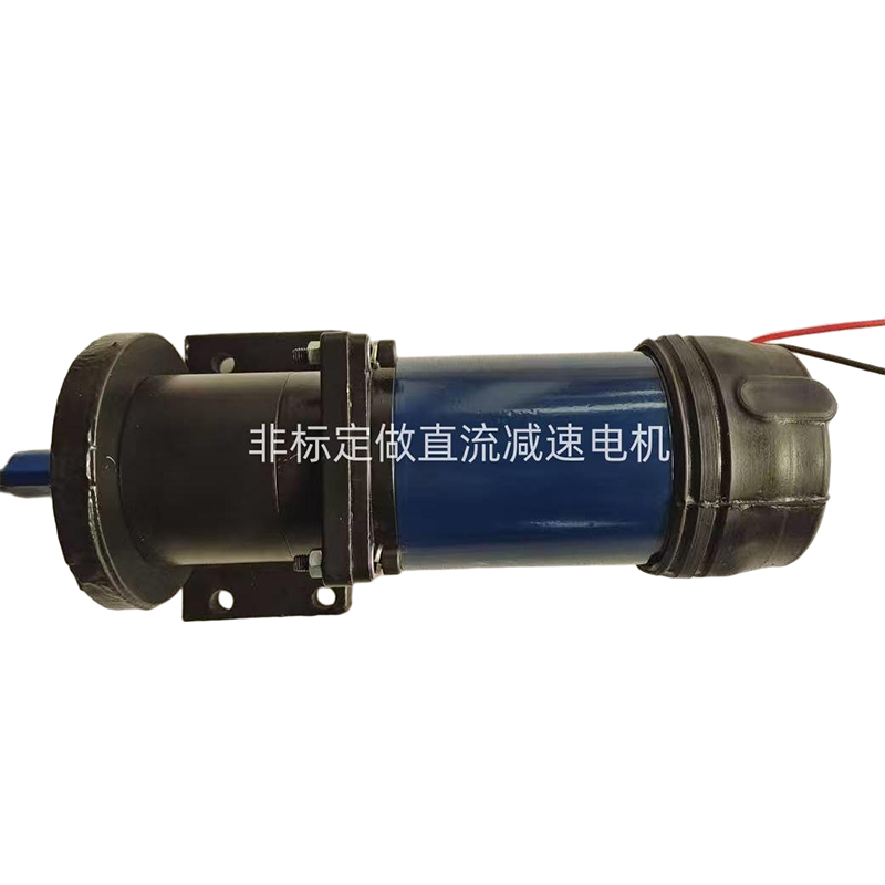 Изготовленный на заказ двигатель постоянного тока с редуктором
