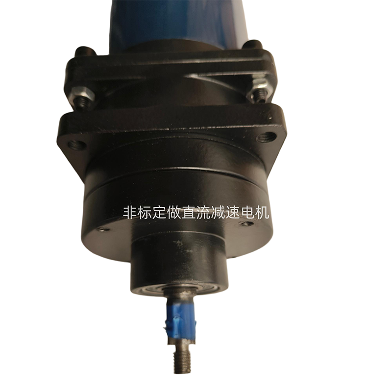 Изготовленный на заказ двигатель постоянного тока с редуктором