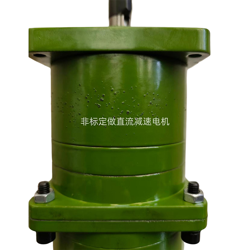 Изготовленный на заказ двигатель постоянного тока с редуктором
