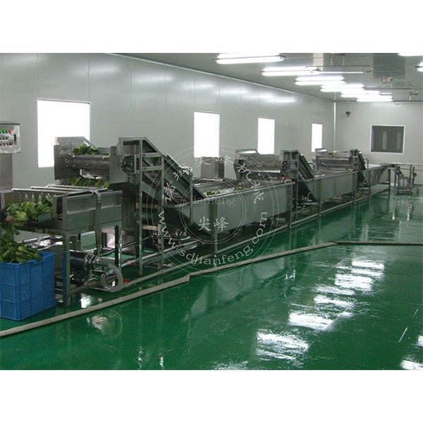 Конвейер мойки зеленых листовых овощей