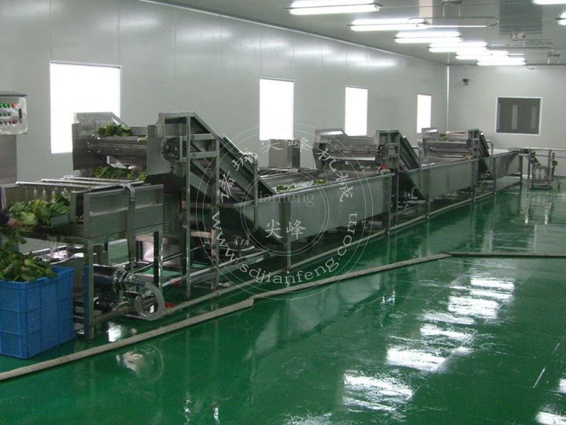 Фотографии работающей конвейерной линии по мойке листовых овощей.