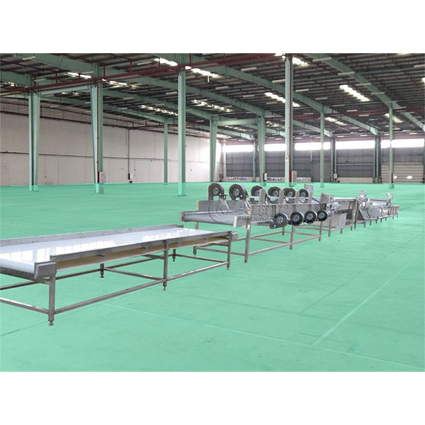 Производственная линия для мойки, воздушной сушки и транспортировки фруктов и овощей