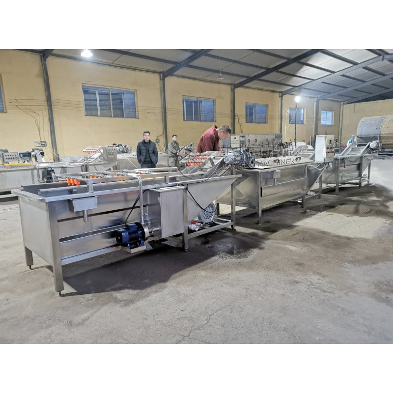 Опытный запуск мелкосерийного оборудования по переработке дикорастущих овощей в Чжанцзякоу, провинция Хэбэй