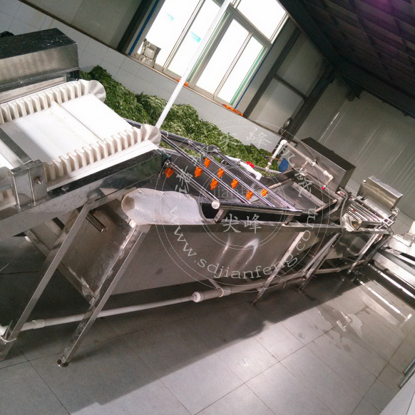 Оборудование для первичной переработки овощей