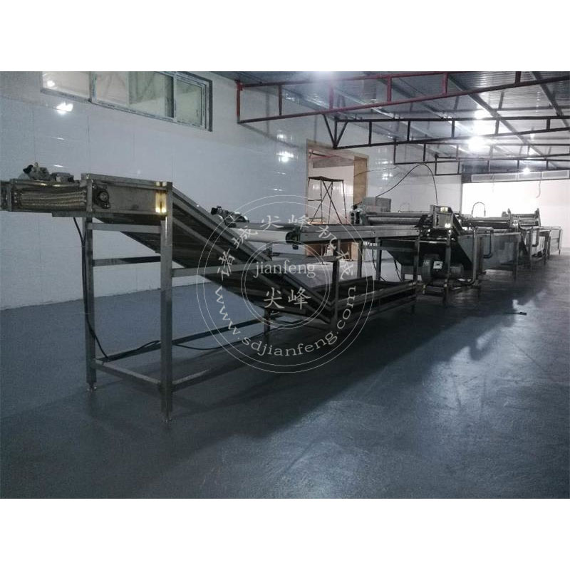 Пример использования линии по мойке овощей в кооперативе «Фуронг» в Тайюане