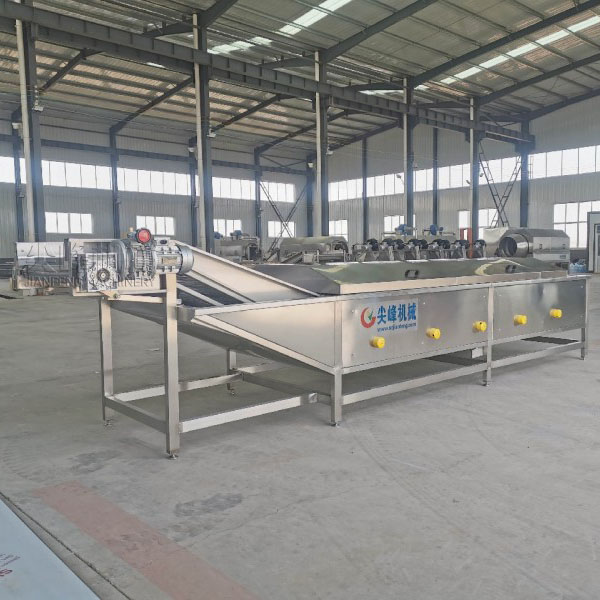 Автоматическая машина для бланширования овощей Оборудование для пищевой промышленности