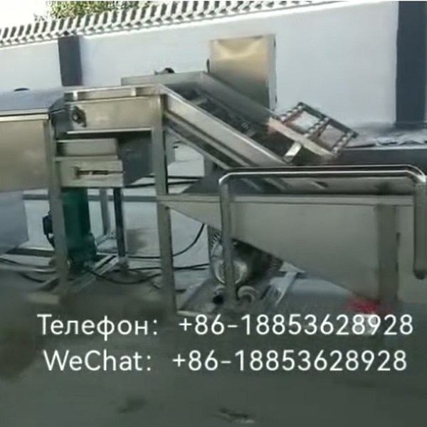 Линия-по-очистке-и-сушке-овощей-и-китайских-фитотерапевтических-препаратов