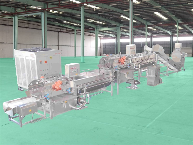 Линия по производству оборудования для мойки и стерилизации овощей