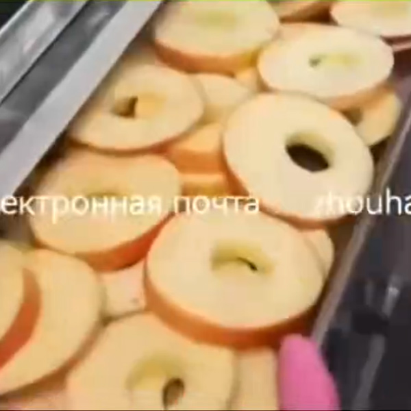 Оборудование для линии по очистке, обработке и вакуумной сушке яблок