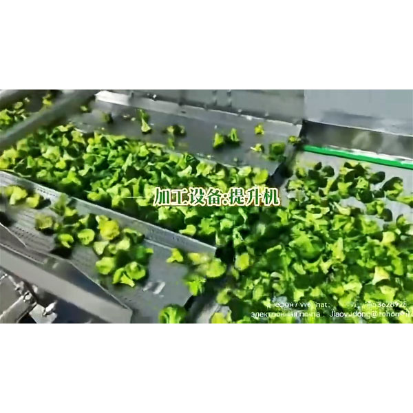 Оборудование-для-мойки-и-быстрой-заморозки-брокколи-1