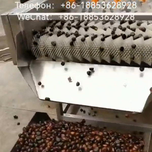 Очистка-корней-1