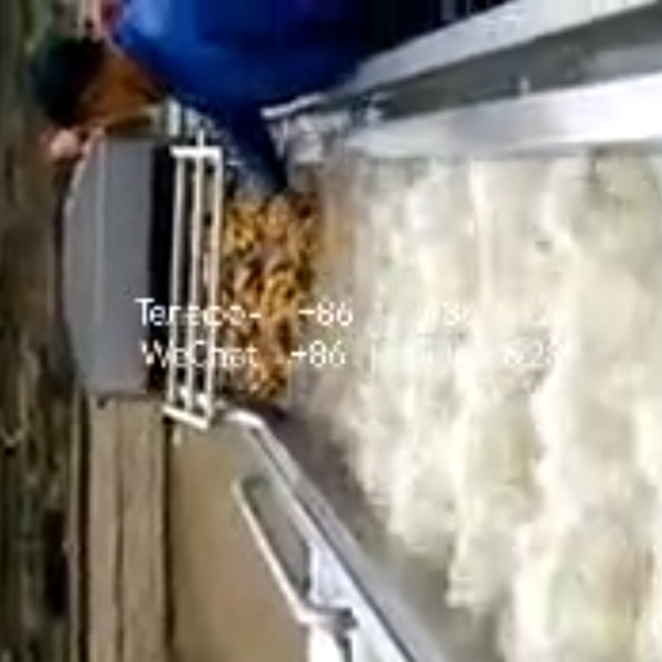 Сайт-для-клиентов-Dajiang-Cleaning-1