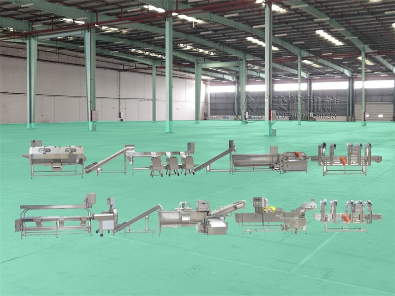 Чистая линия по переработке овощей