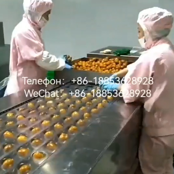 автоматическая вакуумная упаковочная машина для стрейч-пленки 520