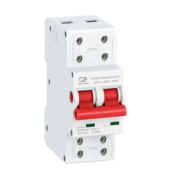 Разъединитель GFH1-100D (с двумя винтовыми зажимами)