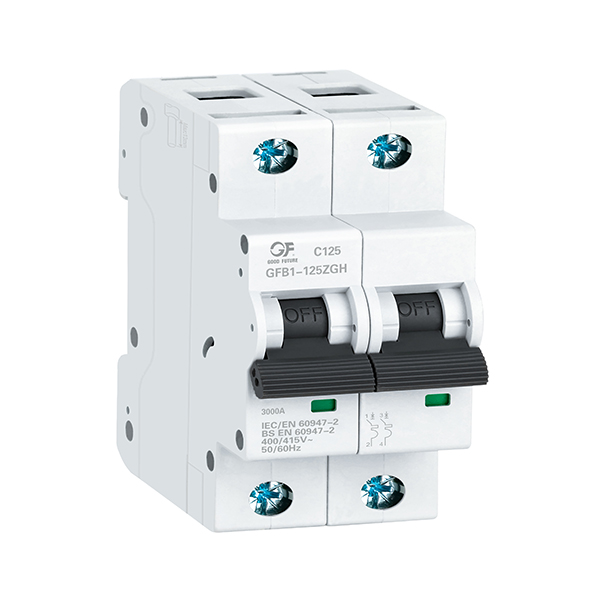 Автоматический выключатель постоянного тока GFB1-125ZGH