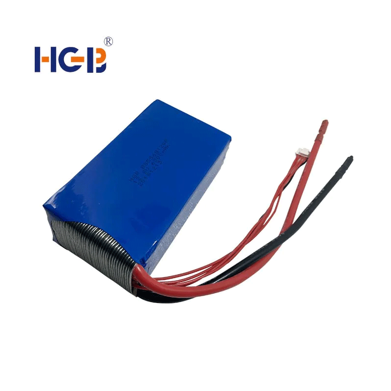 Аккумулятор Lifepo4 14,8 В 4S2P 40C 6000 мАч HGB5568120