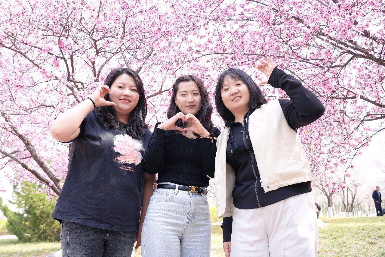 Весенняя прогулка трёх отделов внешней торговли компании «Шаньдун Кайтай»