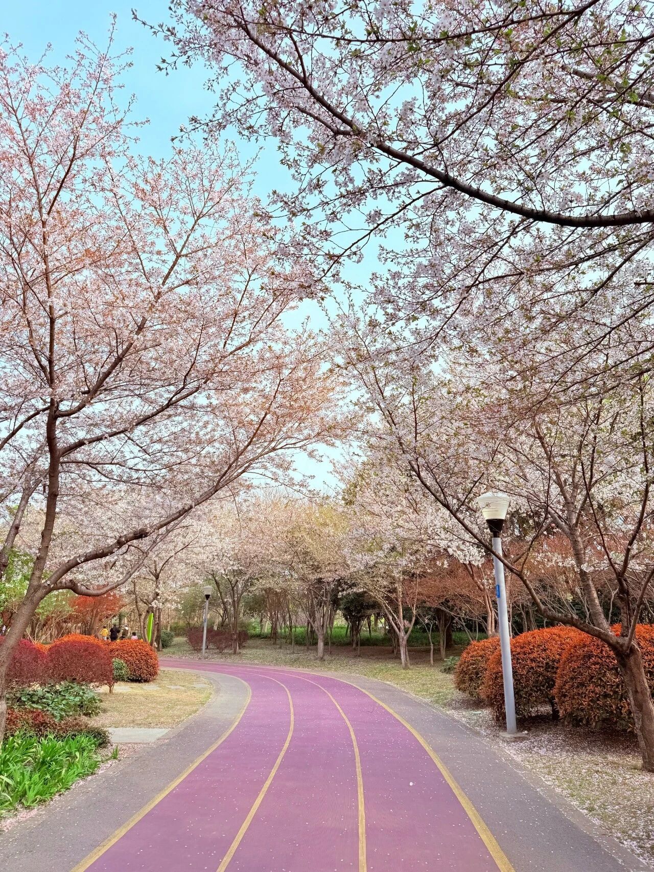 Весенняя прогулка трёх отделов внешней торговли компании «Шаньдун Кайтай»