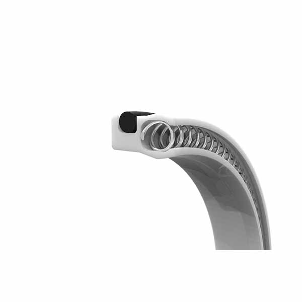 PTFE сальник с пружинным усилителем LWC-P