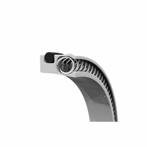 PTFE сальник с пружинным усилителем LWC-R