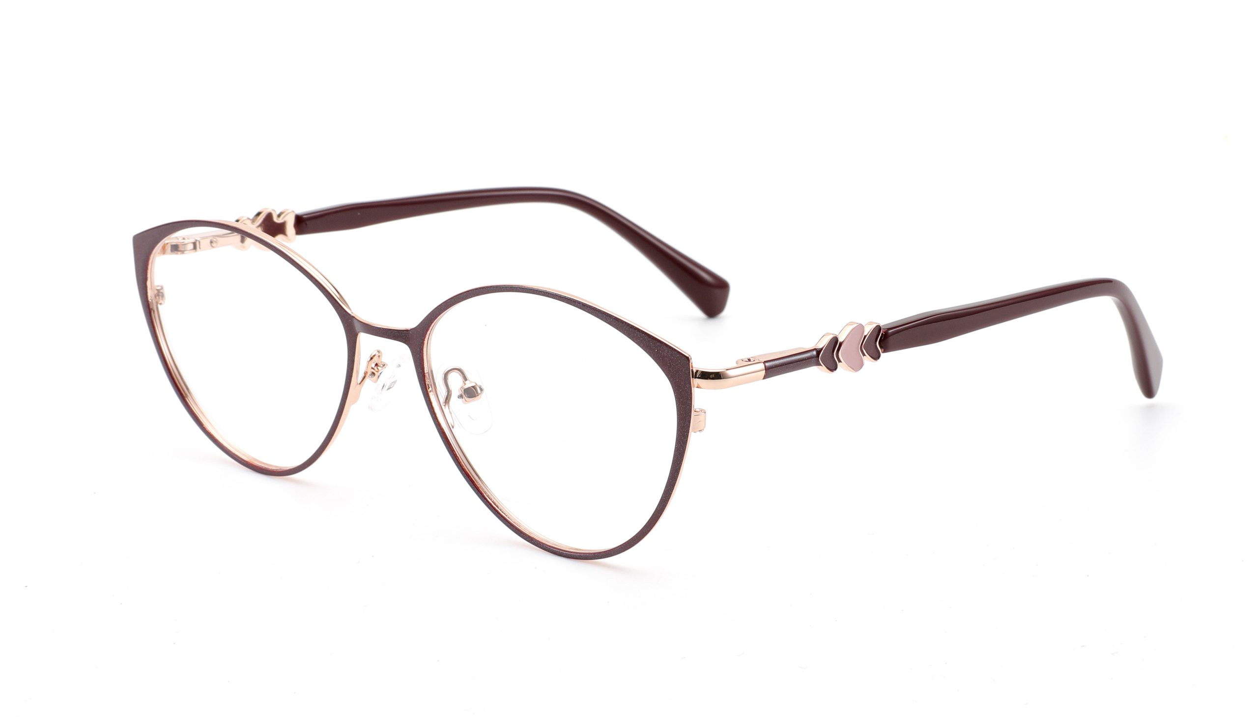 Оптические оправы FA1035