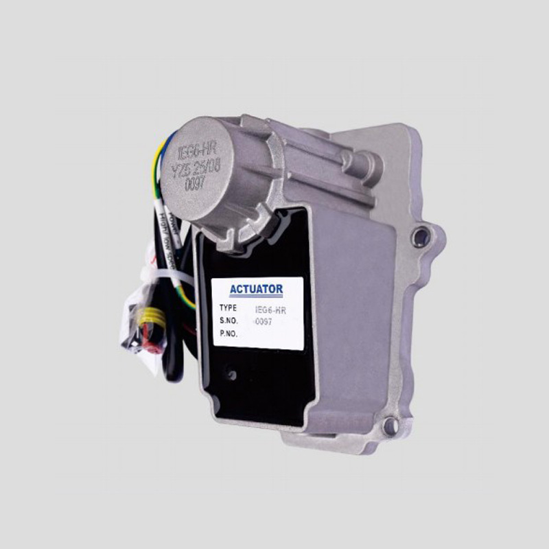 IEG4 Интеллектуальный электронный регулятор скорости