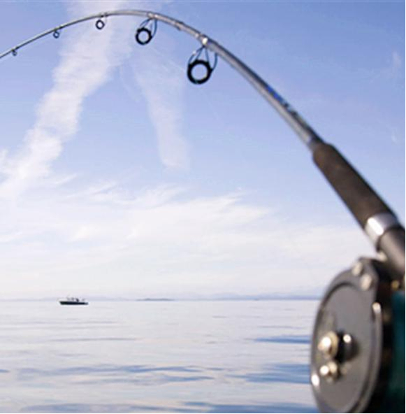 Другие смежные области применения