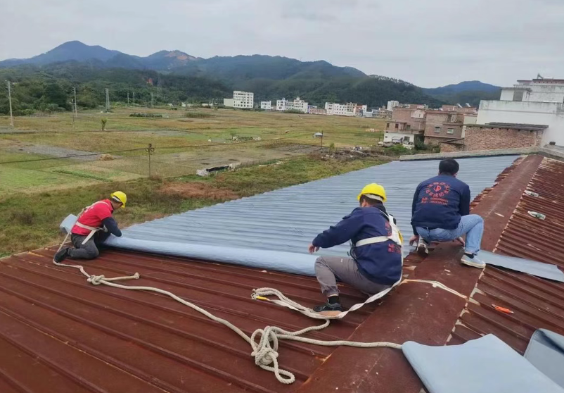 Защита конструкций и поголовья