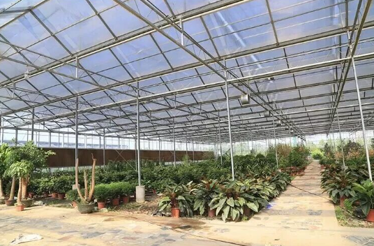Теплицы2