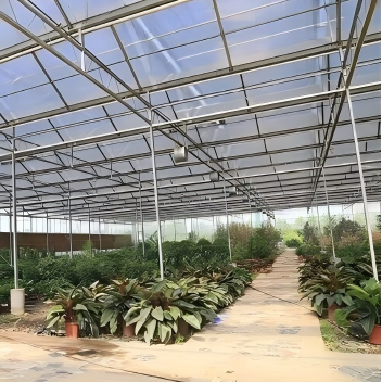 Почему для строительства теплиц выбирают светопрозрачные листы из FRP