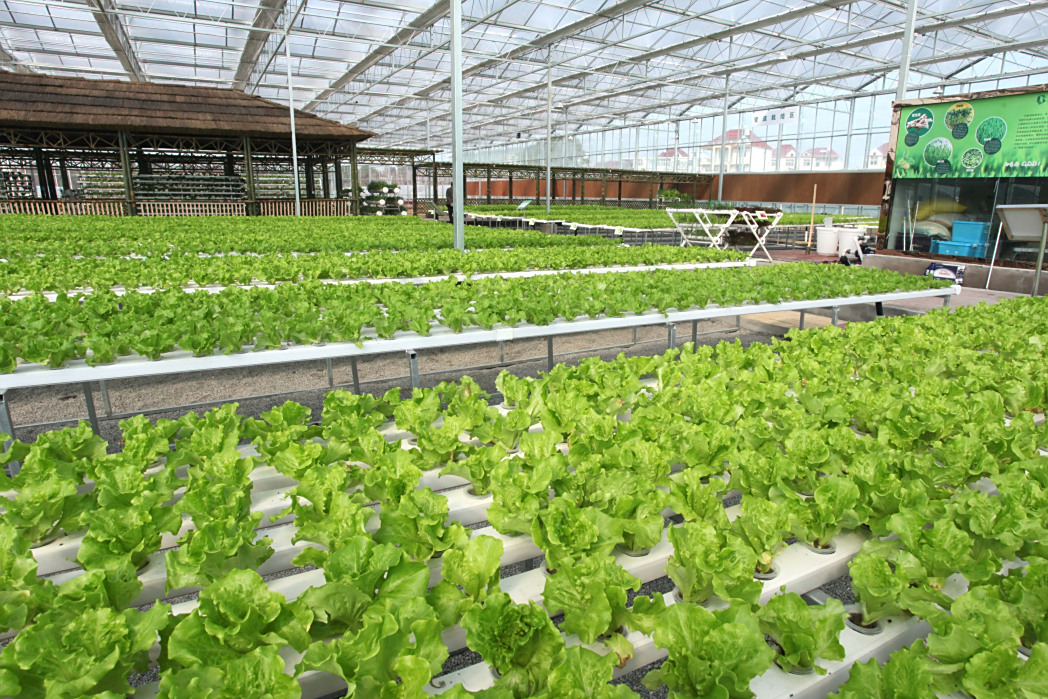 Технические показатели FRP