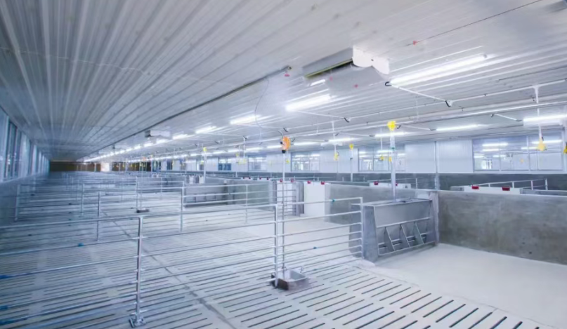 Шумо- и теплоизоляция