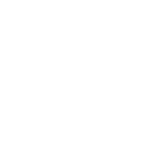 Большой опыт проекта