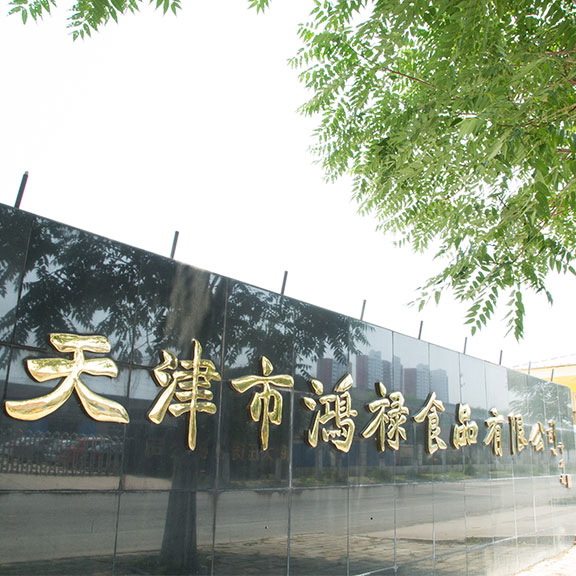 576×576