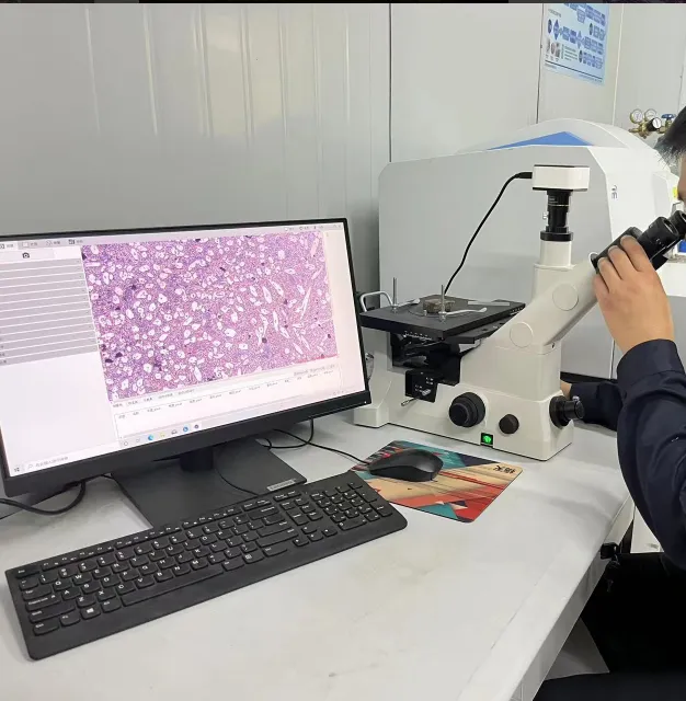 Технология интеграции полной промышленной цепочки: Shandong Xinyuan Botong  полный контроль качества от сырья до готовой продукции