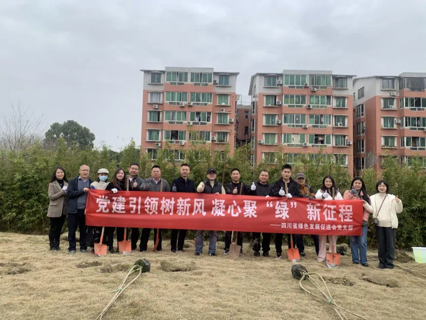 图片10