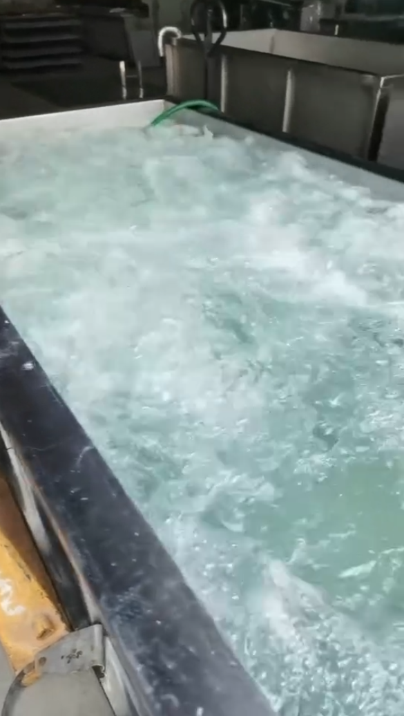 Можно ли с помощью ультразвуковой мойки размораживать морепродукты?