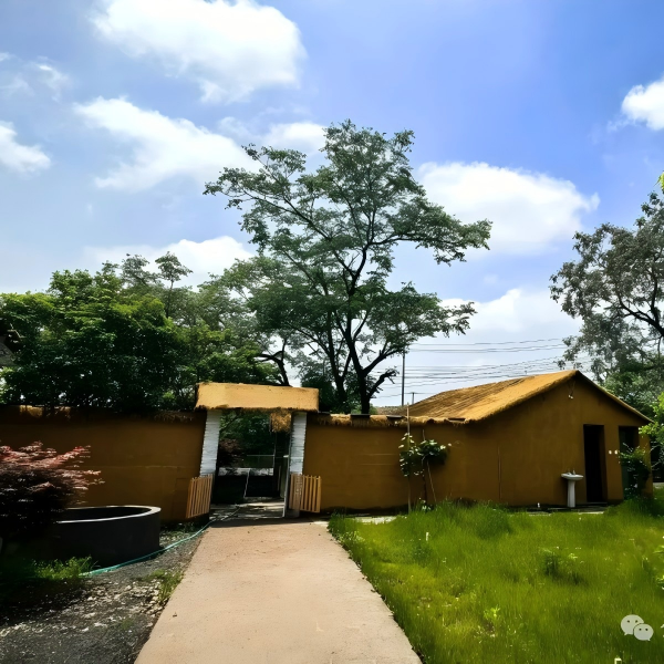 Веселый сбор на природе, совместная работа — Корпоративное мероприятие ООО Шаосин Сидо Электромотор успешно проведено