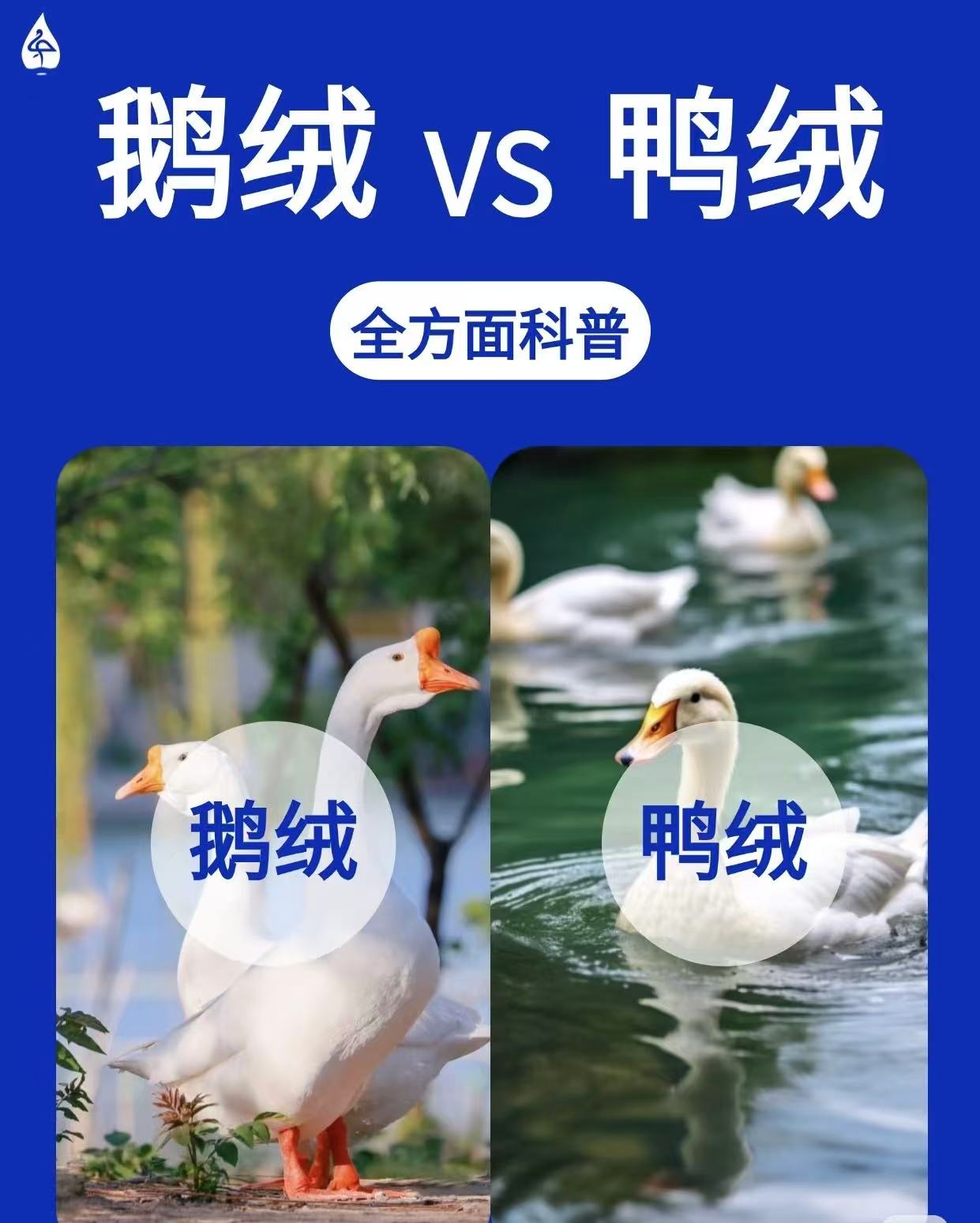 Разница между утиным и гусиным пухом