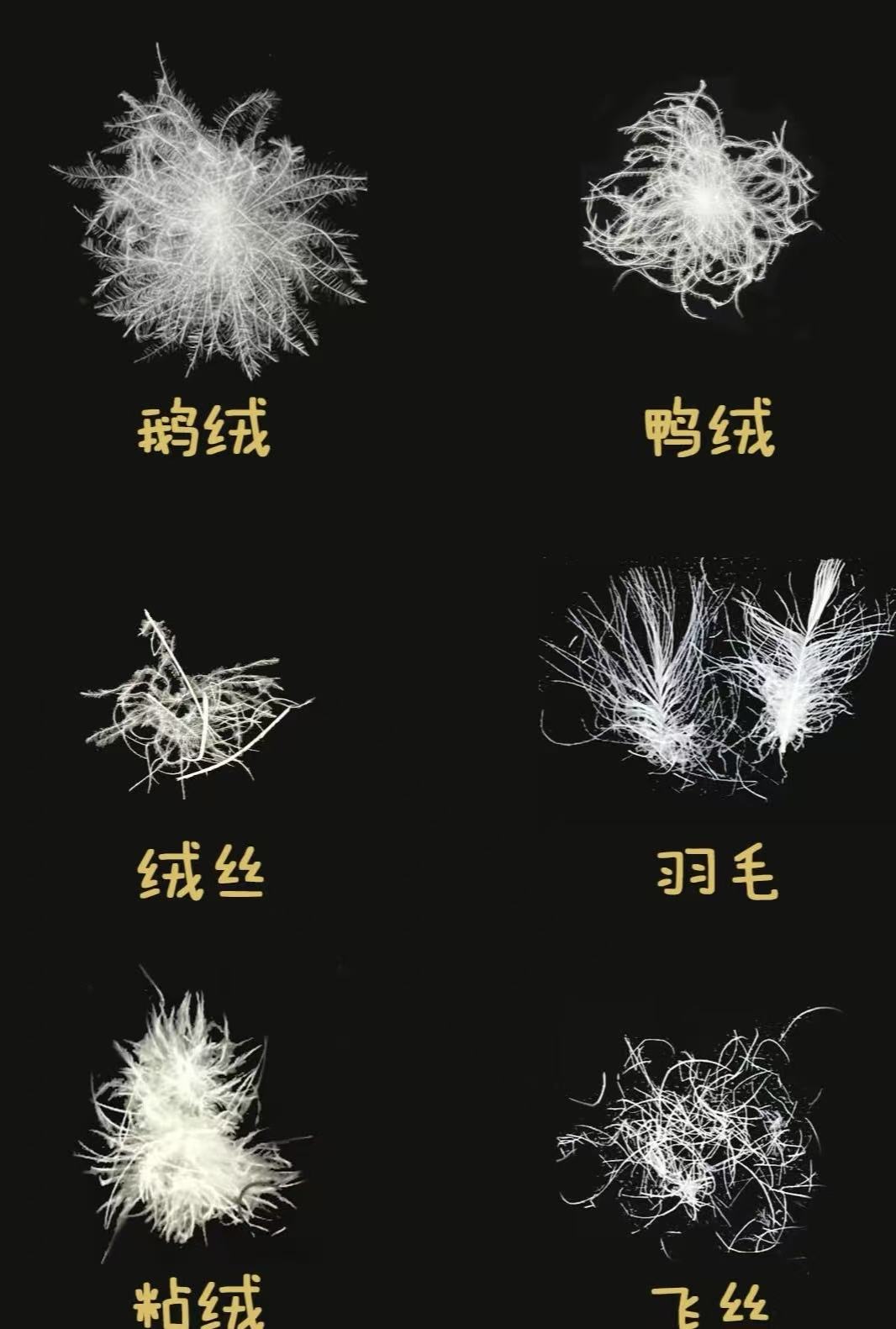 Перспективы развития гусиного пуха в 2025 году