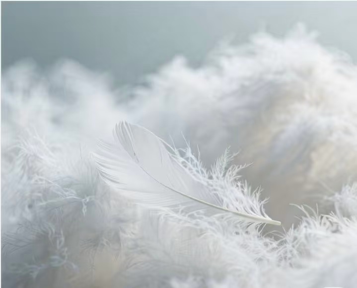 2025 Материальные стандарты для вниз промышленности