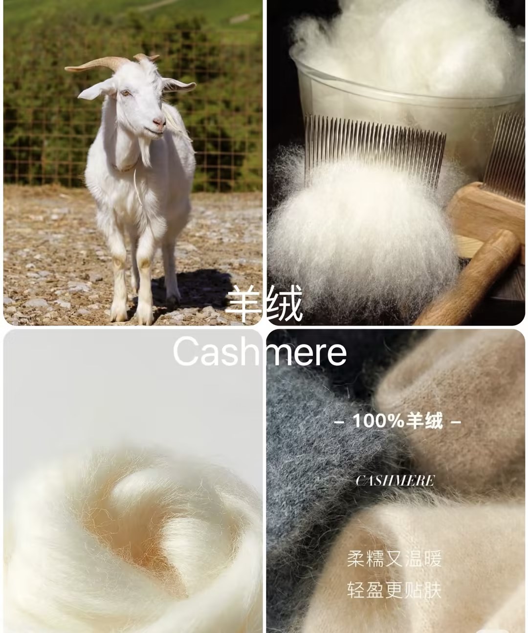 Перспективы развития кашемира в 2026 году