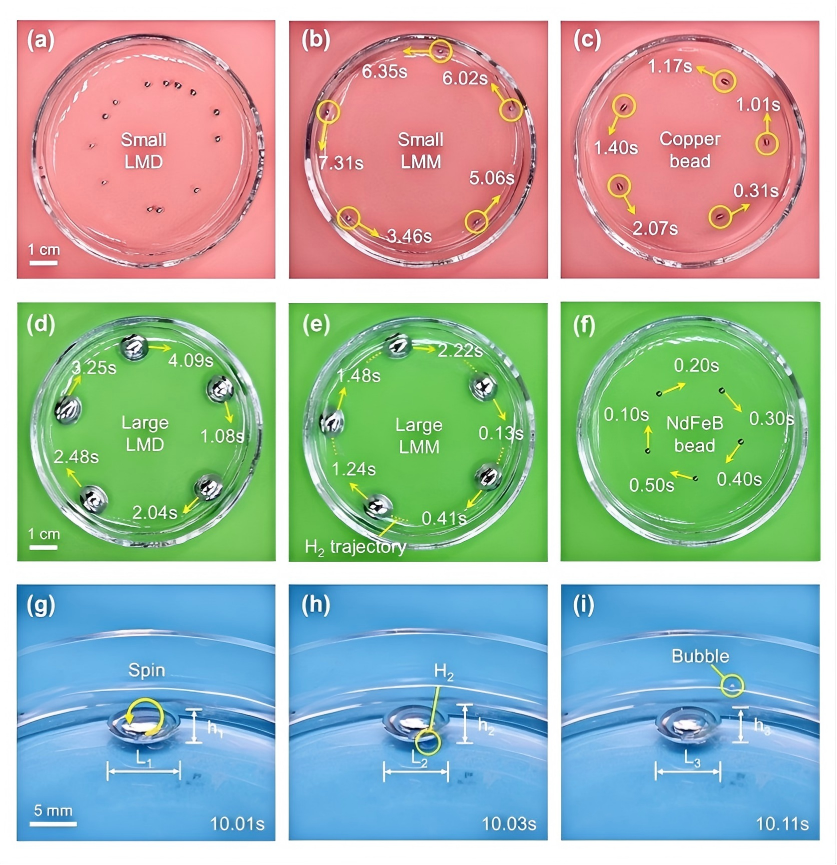 （Закономерности движения различных металлических сфер, приводимых в движение вращающимся магнитным полем.）